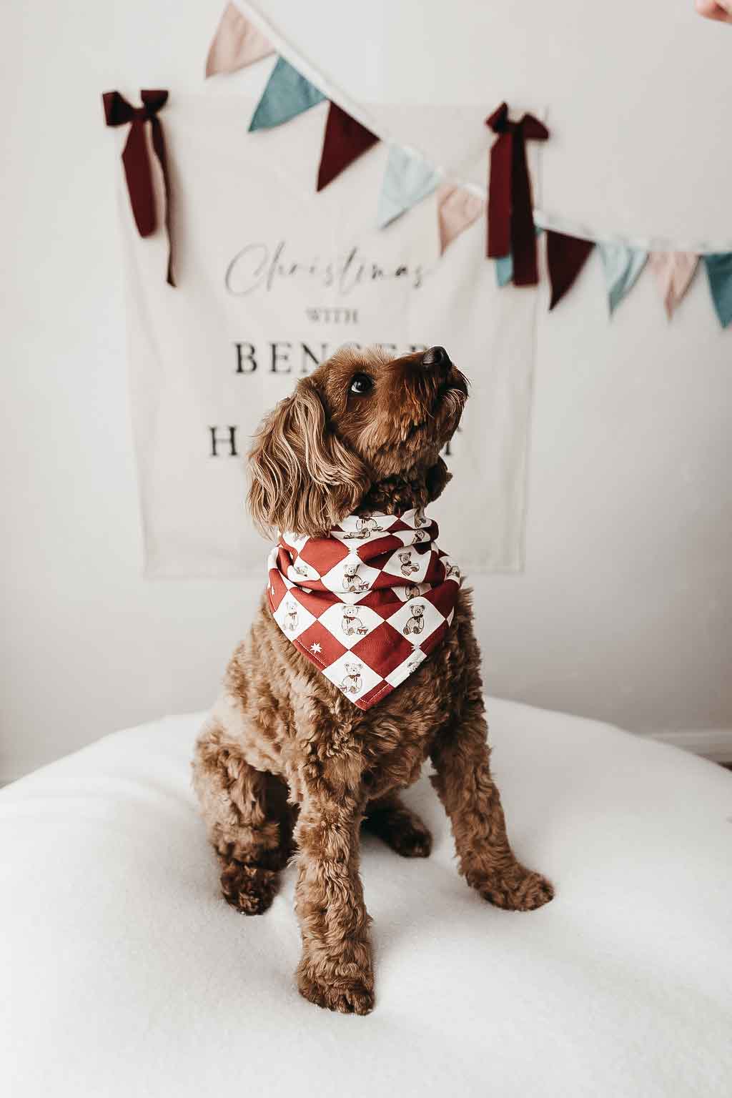 Dog Bandana - Peshal Diamond