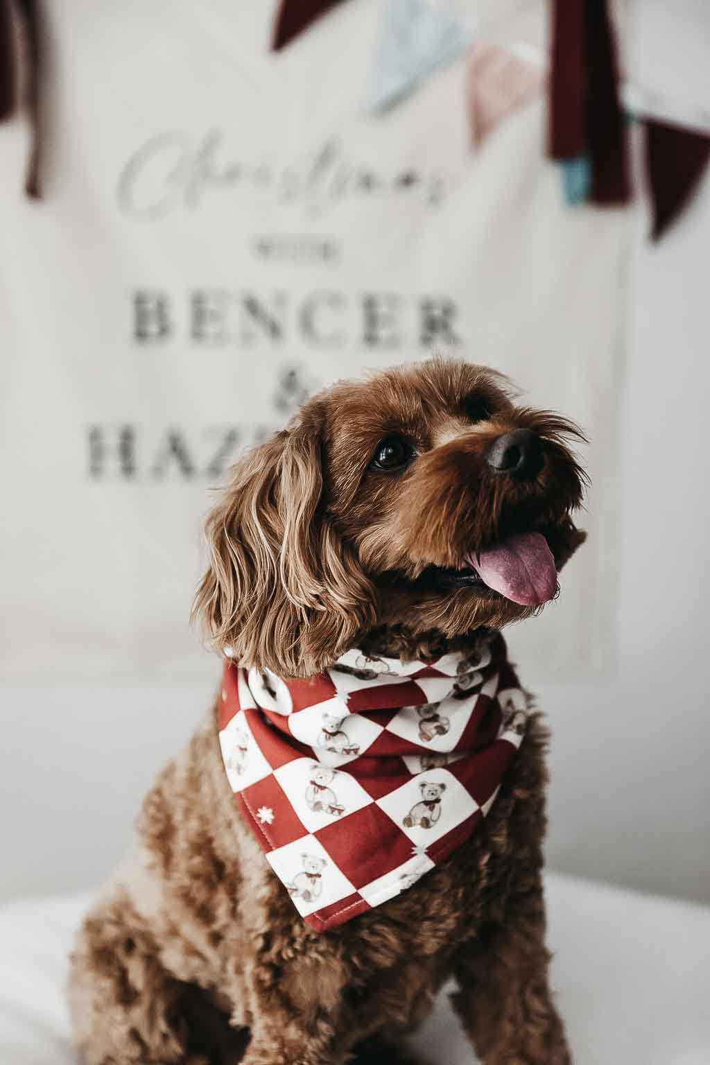 Dog Bandana - Peshal Diamond