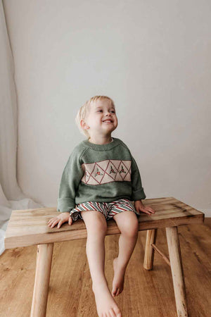 Knit Sweater: Merry Peshal