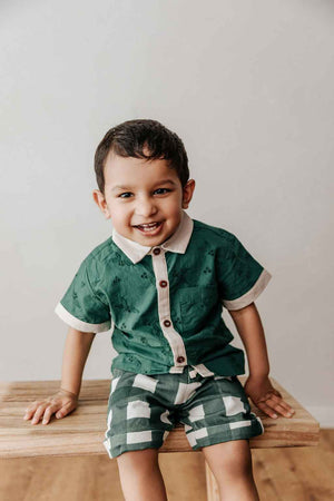 Denim Shorts: Green Gingham