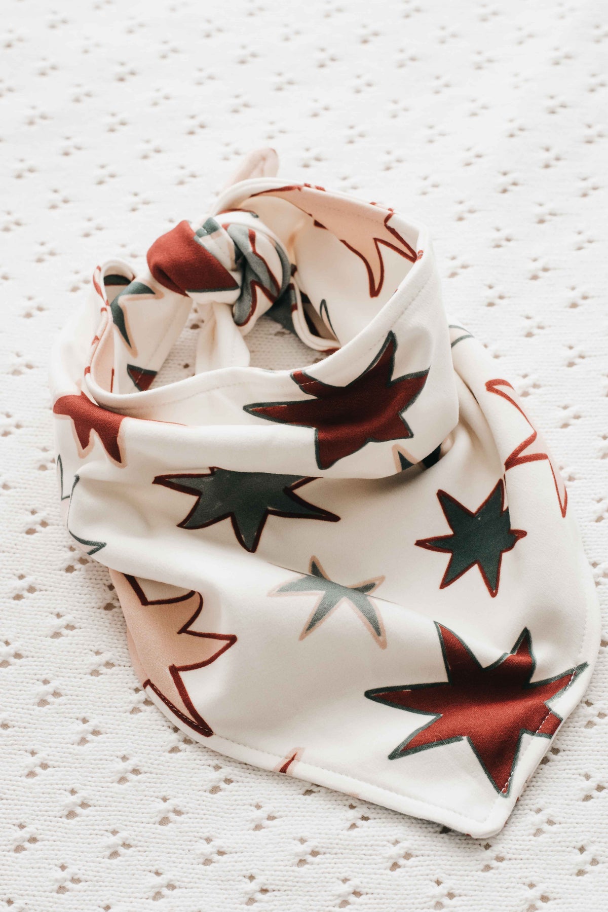Dog Bandana - Star of Wonder