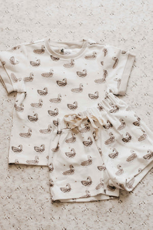 PJS - Sienna Swan