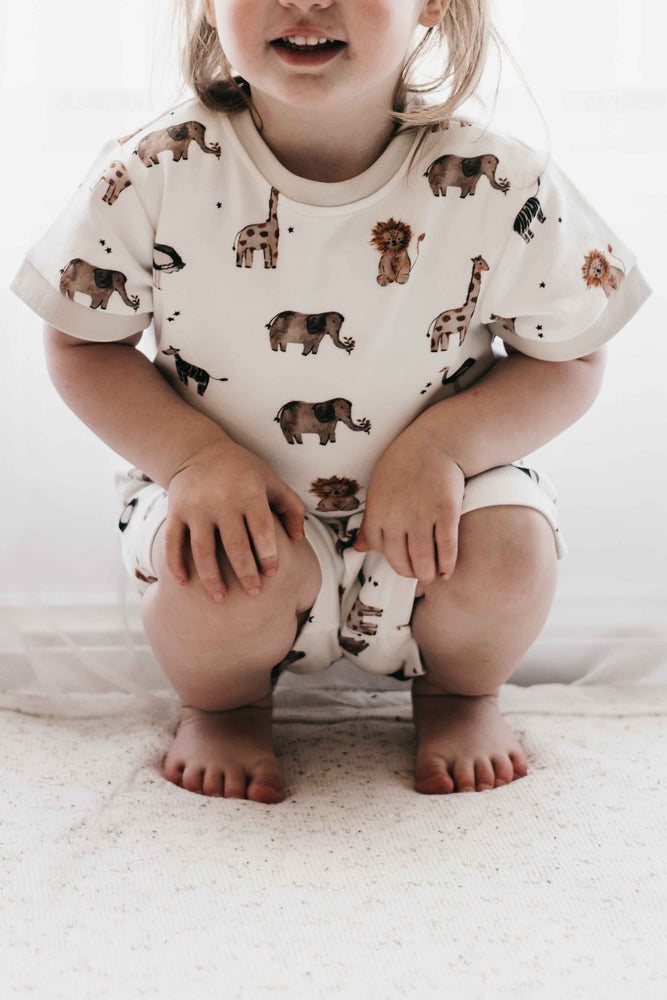PJS - Paul