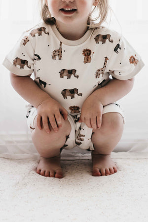 PJS - Paul