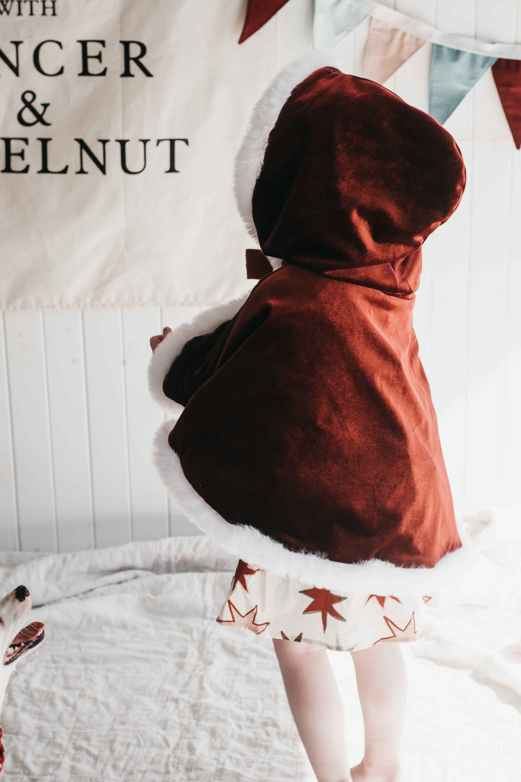Christmas Cape
