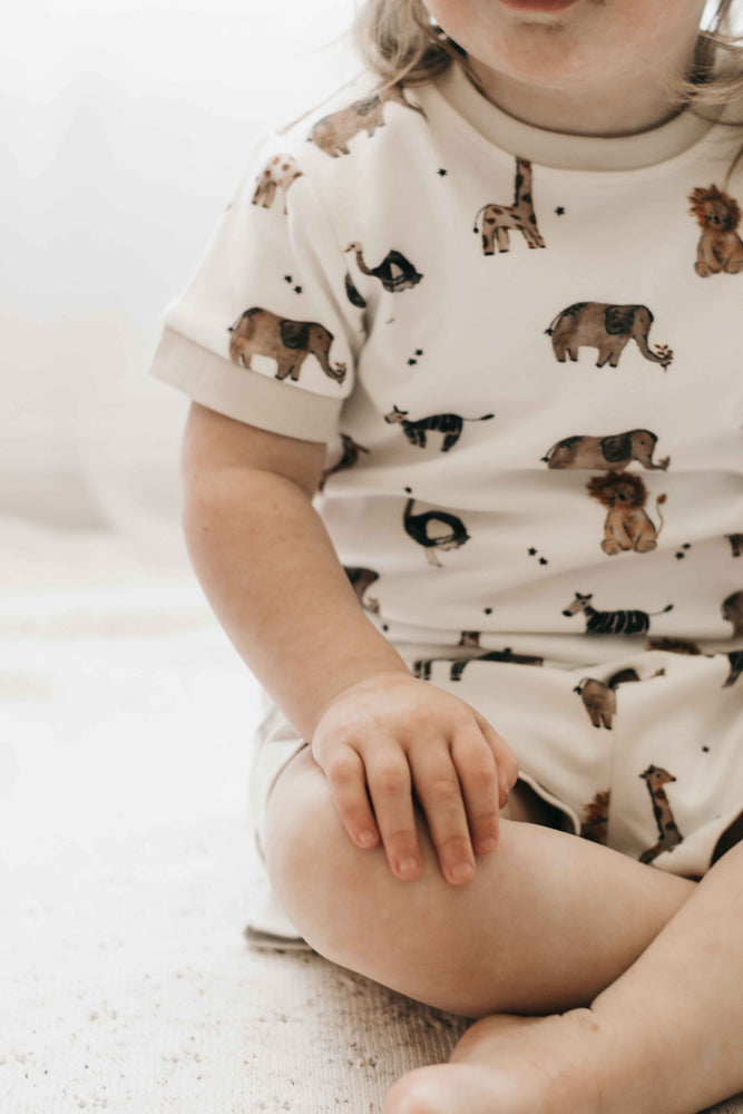 PJS - Paul