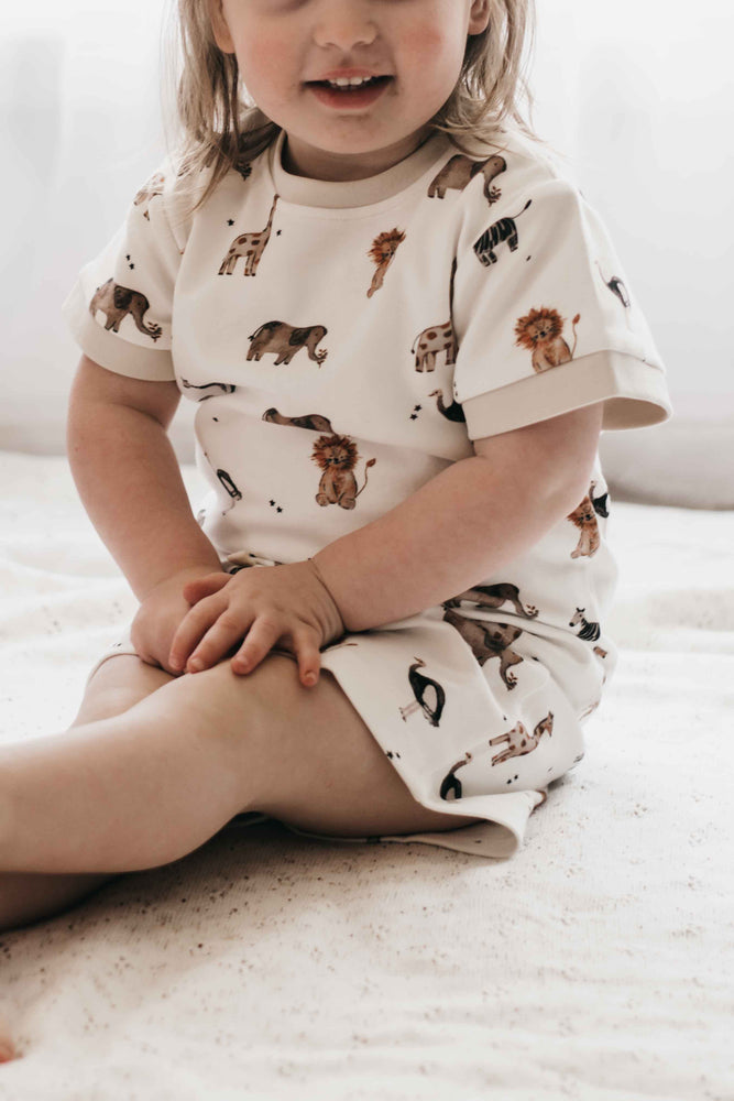 PJS - Paul