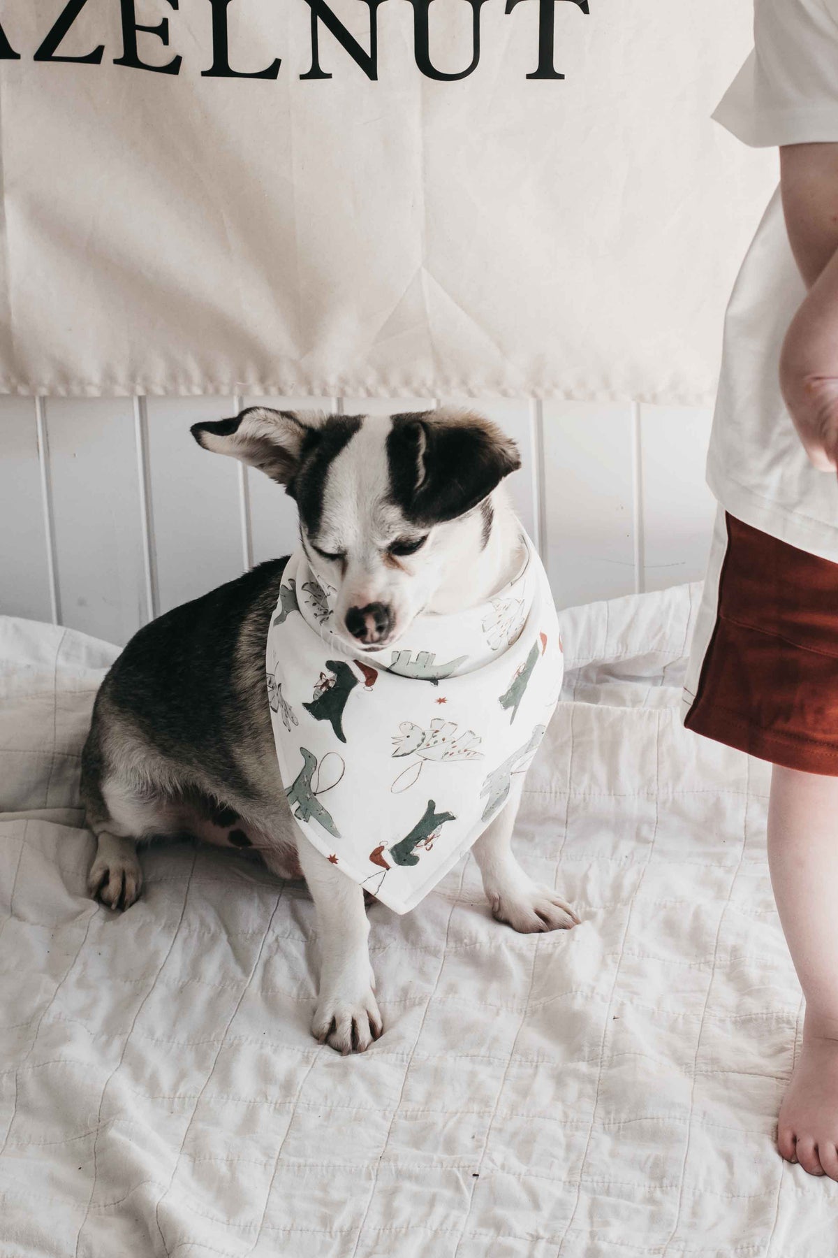 Dog Bandana - Christmas Roar