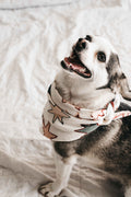 Dog Bandana - Star of Wonder