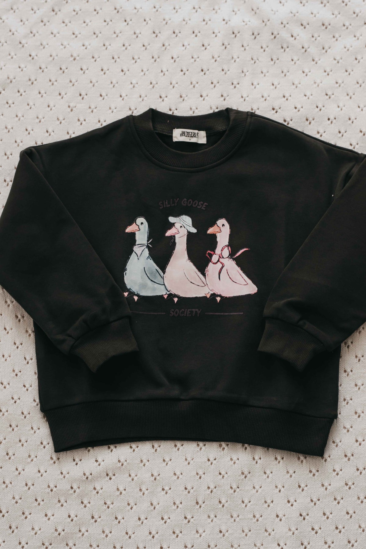 Sweater: Silly Goose