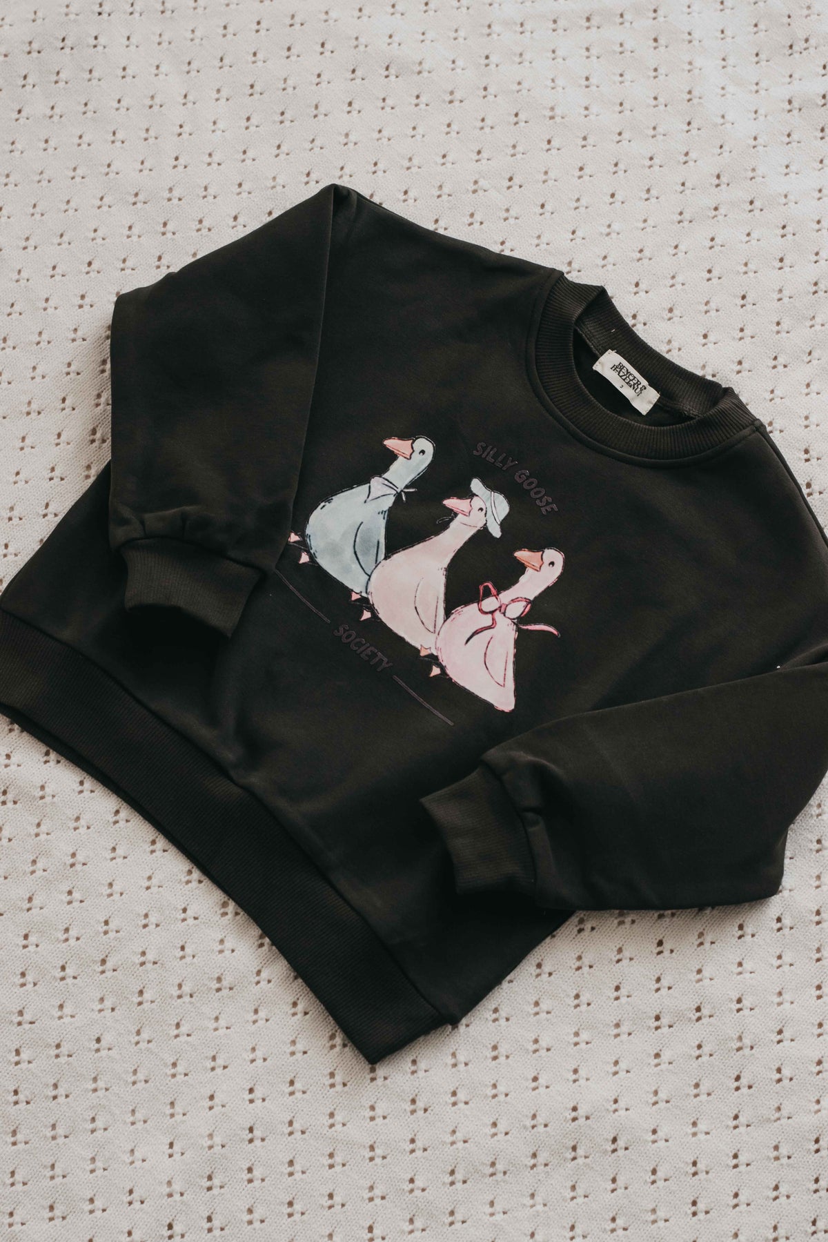 Sweater: Silly Goose