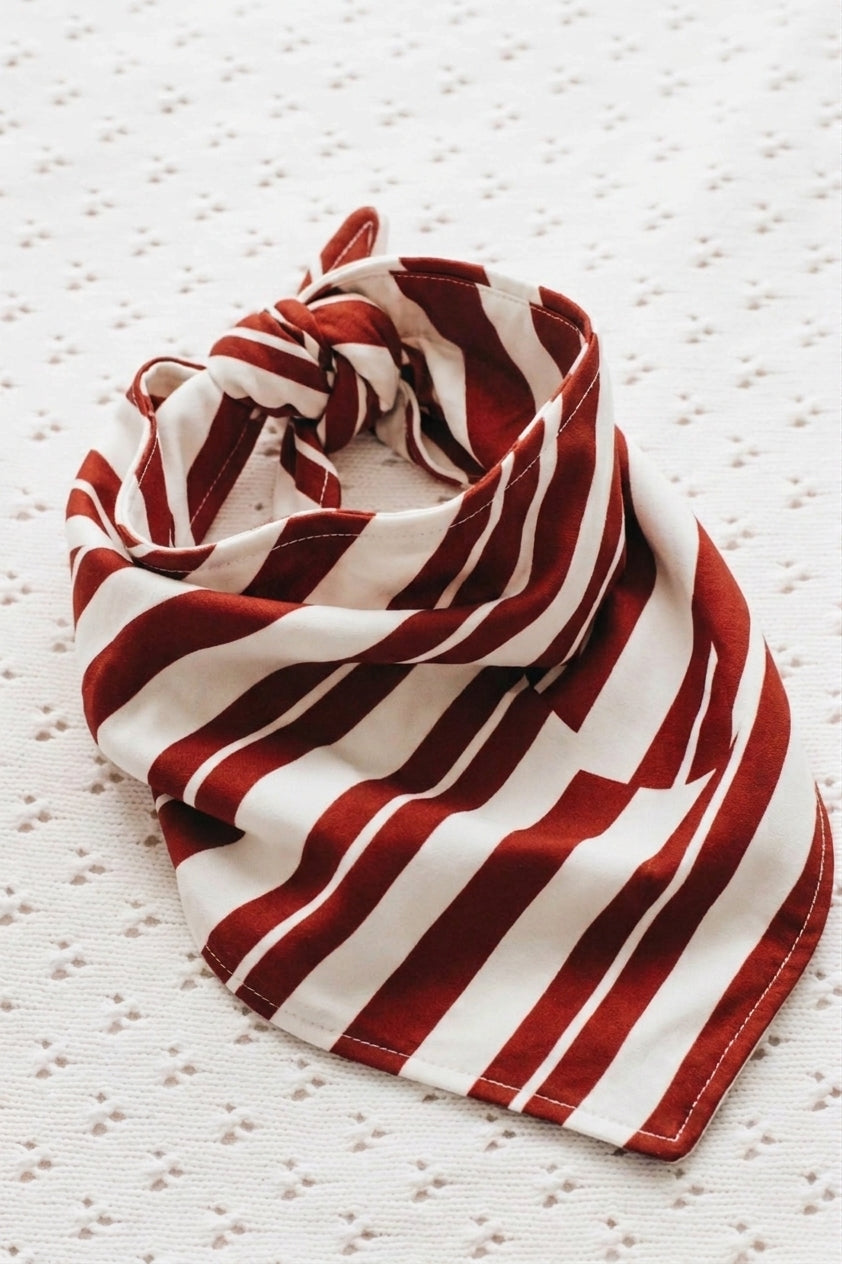 Dog Bandana - Candy Cane